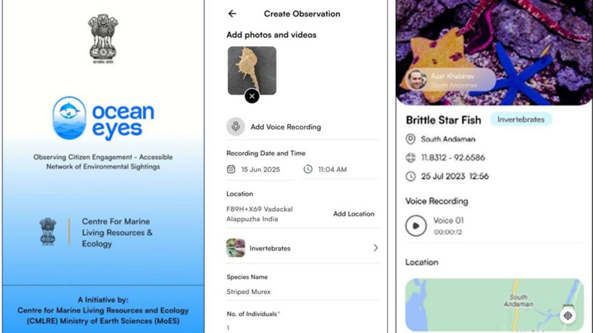 Introducing OceanEyes: The ambitious citizen science project to map India's marine biodiversity